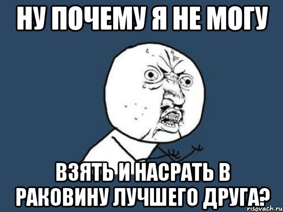 Ну почему я не могу взять и насрать в раковину лучшего друга?, Мем Ну почему