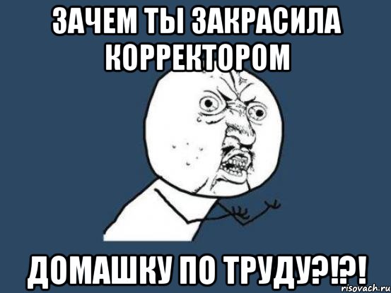 Зачем ты закрасила корректором домашку по труду?!?!, Мем Ну почему