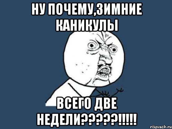 ну почему,зимние каникулы всего две недели?????!!!!!, Мем Ну почему