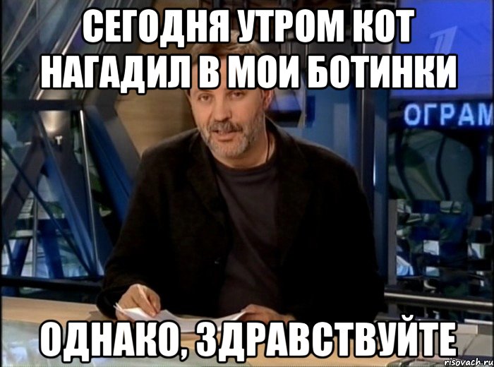 сегодня утром кот нагадил в мои ботинки однако, здравствуйте, Мем Однако Здравствуйте