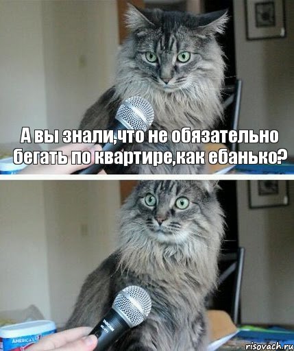 А вы знали,что не обязательно бегать по квартире,как ебанько? , Комикс  кот с микрофоном