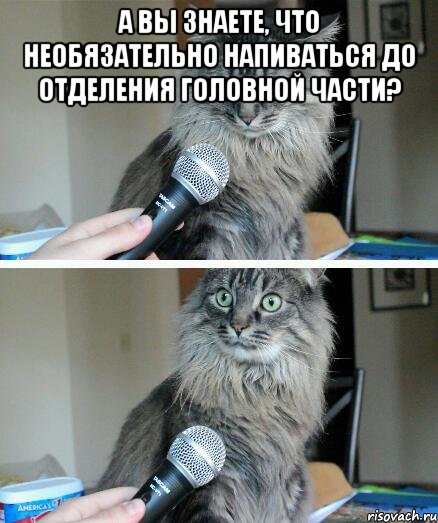 А вы знаете, что необязательно напиваться до отделения головной части? , Комикс  кот с микрофоном