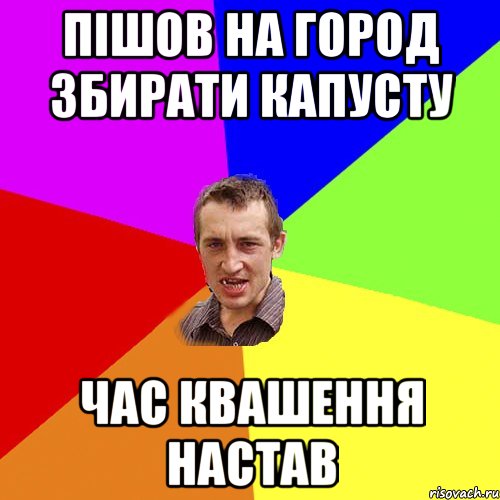 пішов на город збирати капусту час квашення настав, Мем Чоткий паца