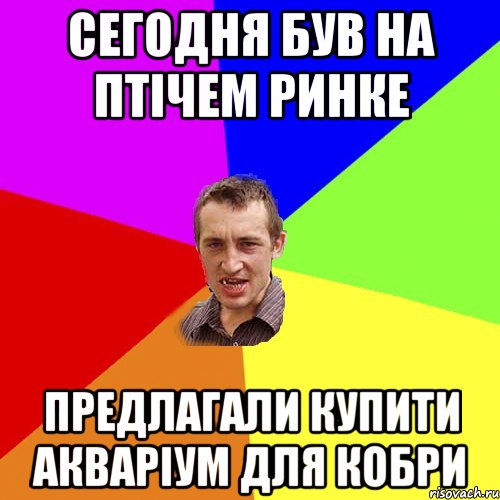 сегодня був на птiчем ринке предлагали купити акварiум для кобри, Мем Чоткий паца