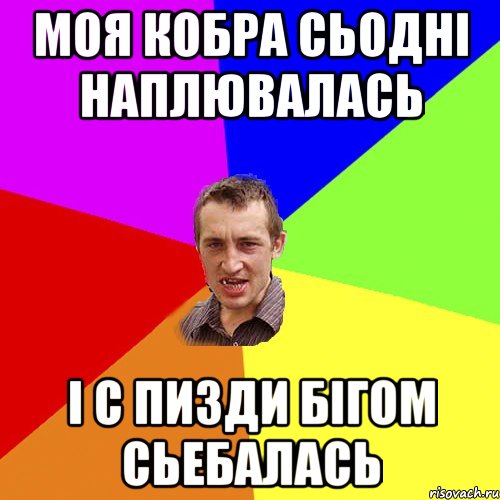 Моя кобра сьодні наплювалась І с пизди бігом сьебалась, Мем Чоткий паца