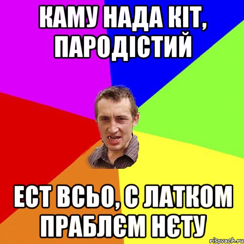 каму нада кіт, пародістий ест всьо, с латком праблєм нєту, Мем Чоткий паца