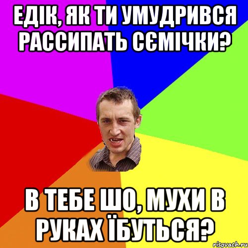 Едік, як ти умудрився рассипать сємічки? В тебе шо, мухи в руках їбуться?, Мем Чоткий паца