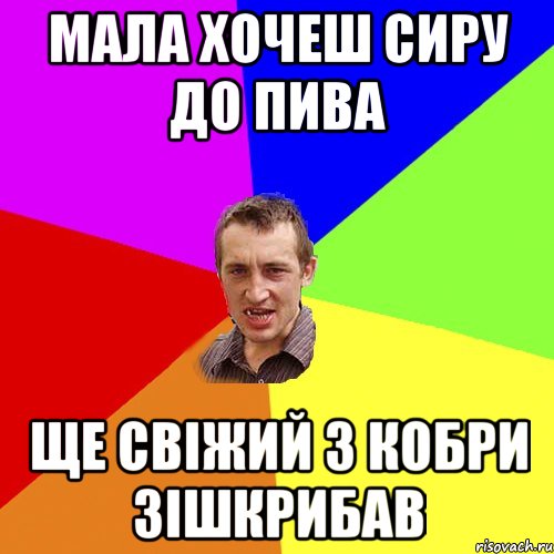 Мала хочеш сиру до пива Ще свіжий з кобри зішкрибав, Мем Чоткий паца