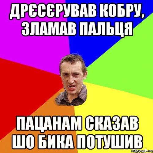 ДРЄСЄРУВАВ КОБРУ, ЗЛАМАВ ПАЛЬЦЯ ПАЦАНАМ СКАЗАВ ШО БИКА ПОТУШИВ, Мем Чоткий паца