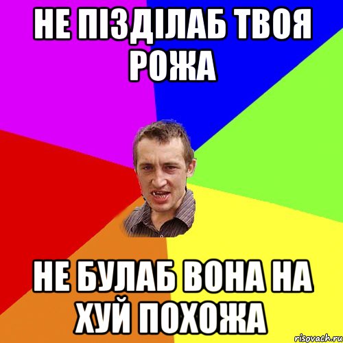 не пізділаб твоя рожа не булаб вона на хуй похожа, Мем Чоткий паца