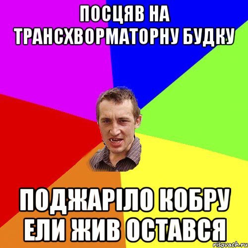 Посцяв на трансхворматорну будку Поджаріло кобру ели жив остався, Мем Чоткий паца