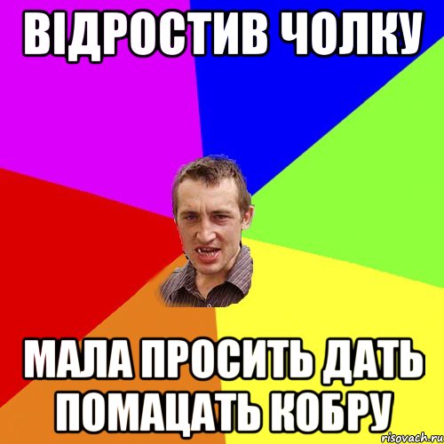 відростив чолку мала просить дать помацать кобру, Мем Чоткий паца