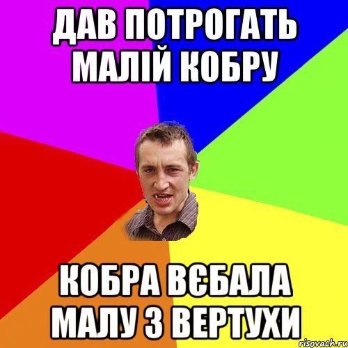 Дав потрогать малій кобру Кобра вєбала малу з вертухи, Мем Чоткий паца