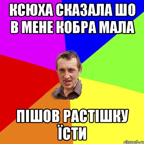 ксюха сказала шо в мене кобра мала пішов растішку їсти, Мем Чоткий паца