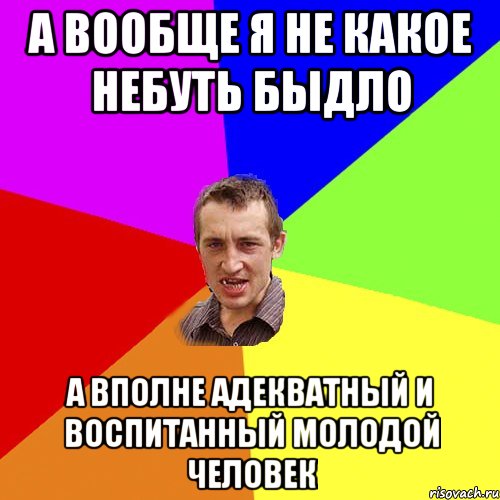 А вообще я не какое небуть быдло а вполне адекватный и воспитанный молодой человек, Мем Чоткий паца