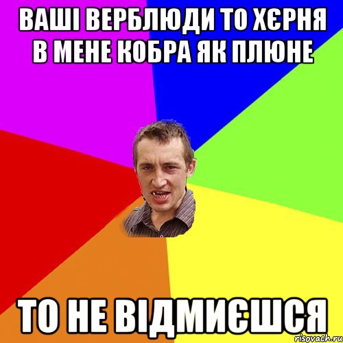 Ваші верблюди то хєрня в мене кобра як плюне то не відмиєшся, Мем Чоткий паца