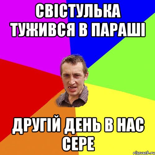 свістулька тужився в парашІ другІй день в нас сере, Мем Чоткий паца