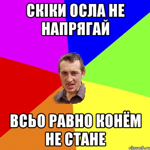 Скіки осла не напрягай Всьо равно конём не стане, Мем Чоткий паца