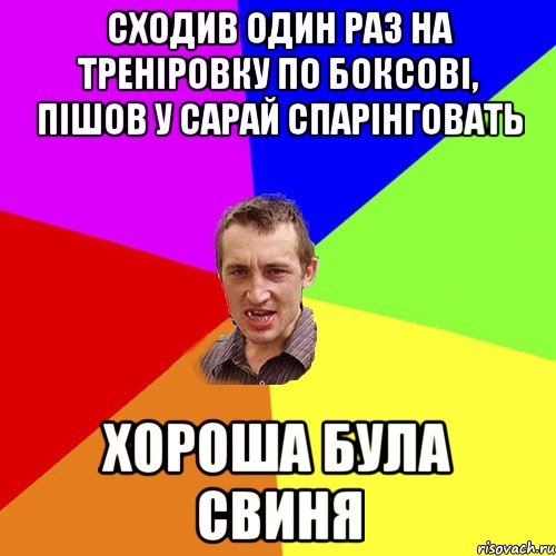 сходив один раз на треніровку по боксові, пішов у сарай спарінговать хороша була свиня, Мем Чоткий паца