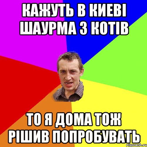 Кажуть в Киеві шаурма з котів то я дома тож рішив попробувать, Мем Чоткий паца