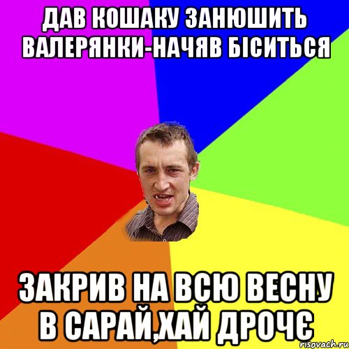 дав кошаку занюшить валерянки-начяв біситься закрив на всю весну в сарай,хай дрочє, Мем Чоткий паца