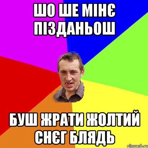 шо ше мінє пізданьош буш жрати жолтий снєг блядь, Мем Чоткий паца