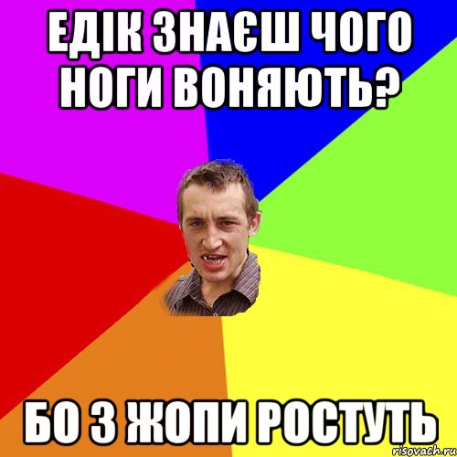 Едік знаєш чого ноги воняють? Бо з жопи ростуть, Мем Чоткий паца