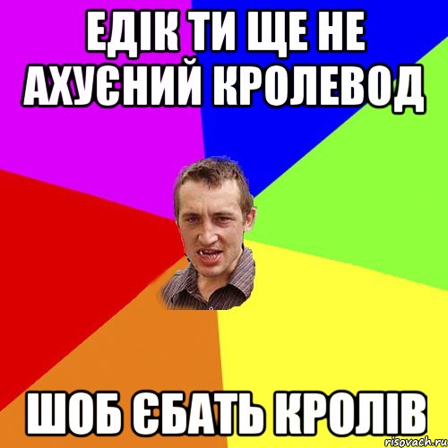 Едік ти ще не ахуєний кролевод шоб єбать кролів, Мем Чоткий паца