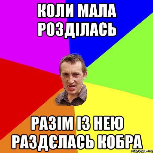 коли мала розділась разім із нею раздєлась кобра, Мем Чоткий паца