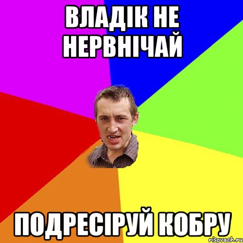 Владік не нервнічай подресіруй кобру, Мем Чоткий паца