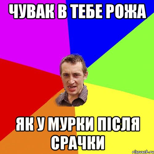 Чувак в тебе рожа як у мурки після срачки, Мем Чоткий паца