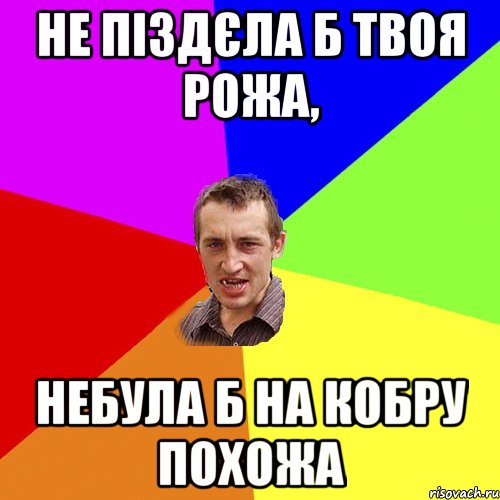 Не піздєла б твоя рожа, небула б на кобру похожа, Мем Чоткий паца