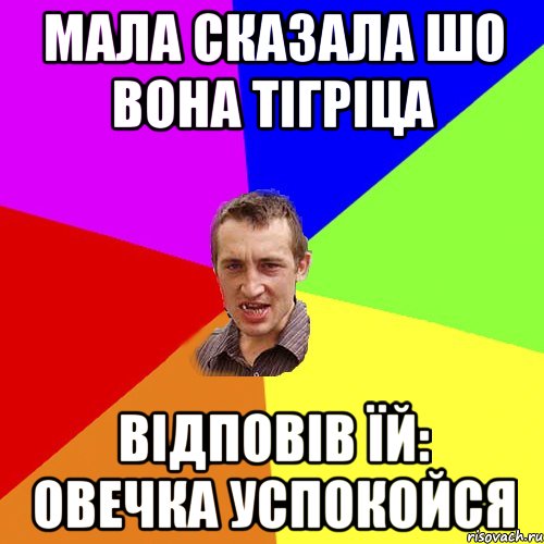 мала сказала шо вона тігріца відповів їй: овечка успокойся, Мем Чоткий паца