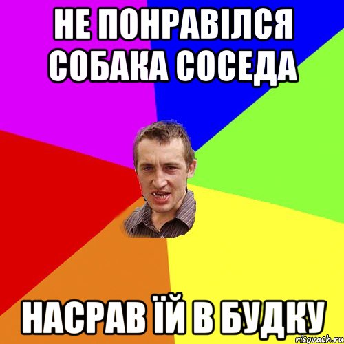 не понравілся собака соседа насрав їй в будку, Мем Чоткий паца