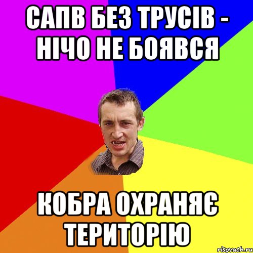 Сапв без трусів - нічо не боявся кобра охраняє територію, Мем Чоткий паца