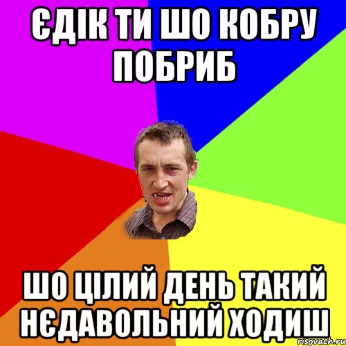 ЄДІК ТИ ШО КОБРУ ПОБРИБ ШО ЦІЛИЙ ДЕНЬ ТАКИЙ НЄДАВОЛЬНИЙ ХОДИШ, Мем Чоткий паца