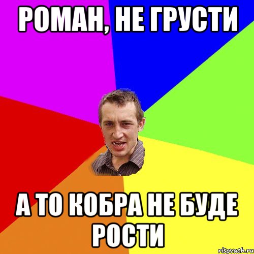 роман, не грусти а то кобра не буде рости, Мем Чоткий паца