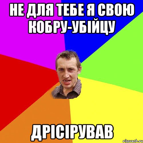 Не для тебе я свою кобру-убійцу ДРІСІРУВАВ, Мем Чоткий паца