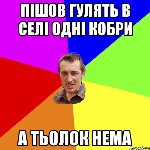 пішов гулять в селі одні кобри а тьолок нема, Мем Чоткий паца