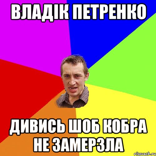 владік петренко дивись шоб кобра не замерзла, Мем Чоткий паца