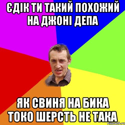 Єдік ти такий похожий на Джоні Депа як свиня на бика токо шерсть не така, Мем Чоткий паца