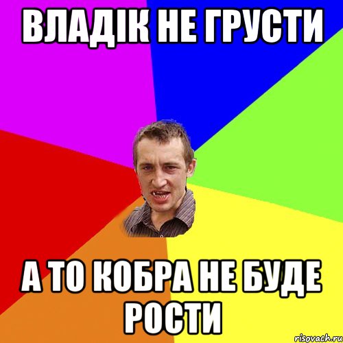 ВЛАДІК НЕ ГРУСТИ А ТО КОБРА НЕ БУДЕ РОСТИ, Мем Чоткий паца