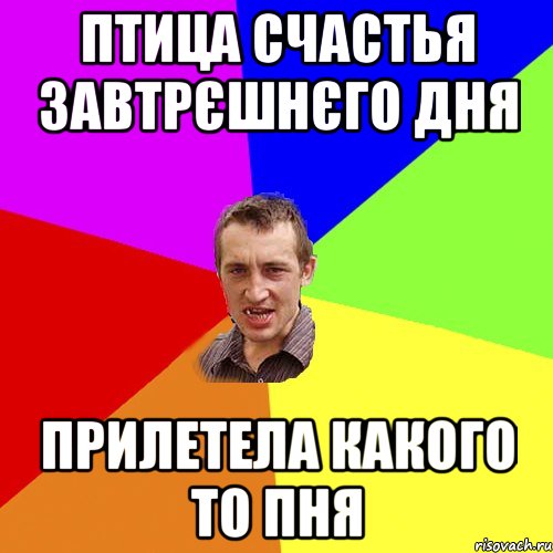 птица счастья завтрєшнєго дня прилетела какого то пня, Мем Чоткий паца