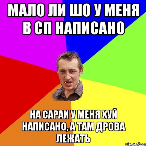 мало ли шо у меня в сп написано на сараи у меня хуй написано, а там дрова лежать, Мем Чоткий паца