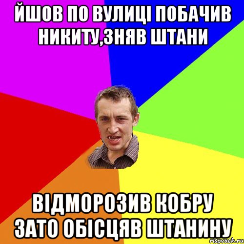 ЙШОВ ПО ВУЛИЦІ ПОБАЧИВ НИКИТУ,ЗНЯВ ШТАНИ ВІДМОРОЗИВ КОБРУ ЗАТО ОБІСЦЯВ ШТАНИНУ, Мем Чоткий паца