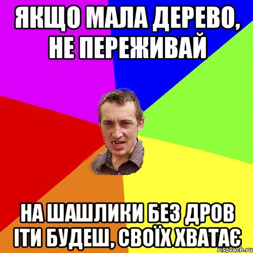 Якщо мала дерево, не переживай на шашлики без дров іти будеш, своїх хватає, Мем Чоткий паца