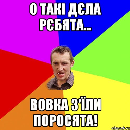 О такі дєла рєбята... Вовка з'їли поросята!, Мем Чоткий паца