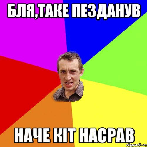 Бля,таке пезданув наче кіт насрав, Мем Чоткий паца