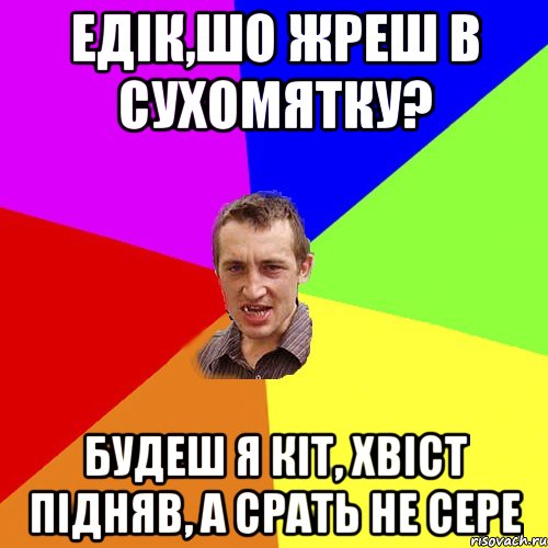 Едік,шо жреш в сухомятку? будеш я кіт, хвіст підняв, а срать не сере, Мем Чоткий паца