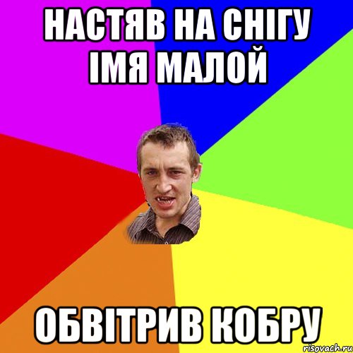 настяв на снігу імя малой обвітрив кобру, Мем Чоткий паца